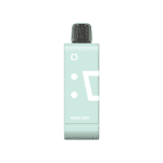 ELFBAR EW9000 Miami Mint disposable vape with cool mint flavour in UAE