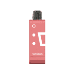 ELFBAR EW9000 Watermelon disposable vape with fresh watermelon flavour UAE