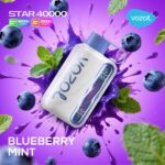 vozol star 40000 blueberry mint dispoable vape in dubai uae
